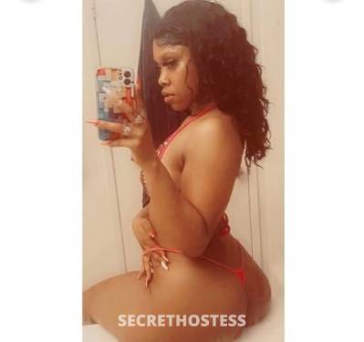 Venus 24Yrs Old Escort Los Angeles CA Image - 2