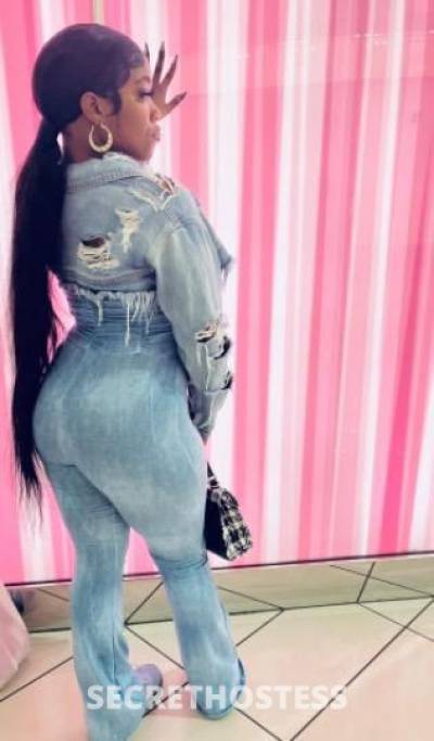 Venus 24Yrs Old Escort Los Angeles CA Image - 3