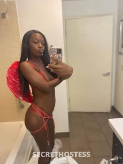 23Yrs Old Escort Los Angeles CA Image - 2