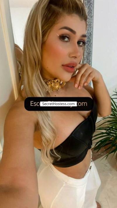 27 Year Old Latin Escort Doha Blonde Brown eyes - Image 3