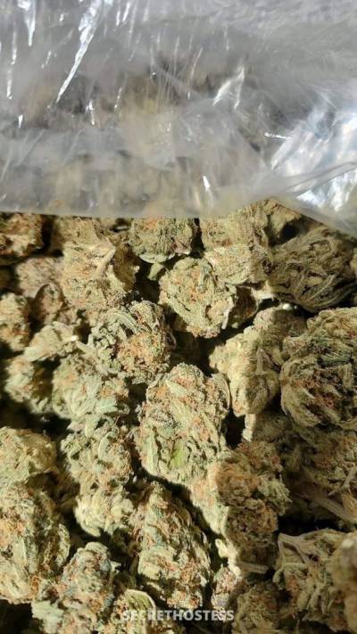 26 year old Asian Escort in Hagerstown MD Pay to play