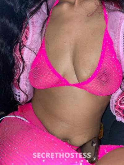 20Yrs Old Escort Los Angeles CA Image - 2