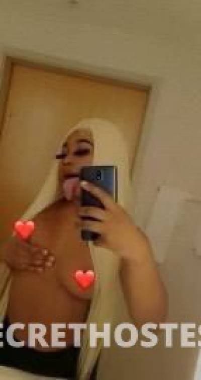 21Yrs Old Escort Chicago IL Image - 1