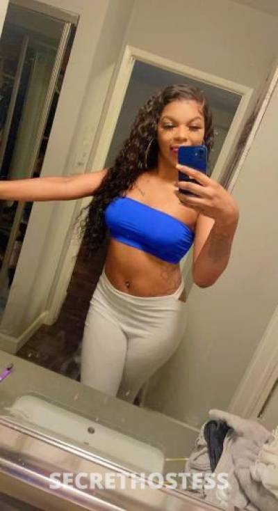 25Yrs Old Escort Orlando FL Image - 1