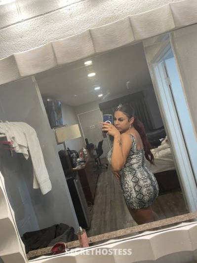 Back in town 5 star companion in San Ramon CA