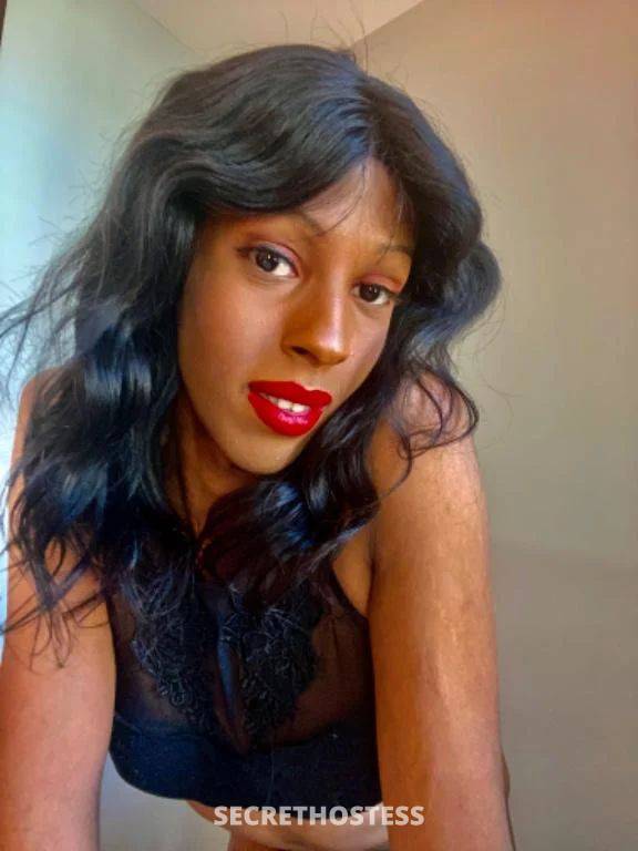 Cassandra 21Yrs Old Escort Size 8 56KG 179CM Tall Sydney Image - 0