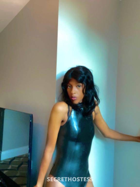 Cassandra 21Yrs Old Escort Size 8 56KG 179CM Tall Sydney Image - 1