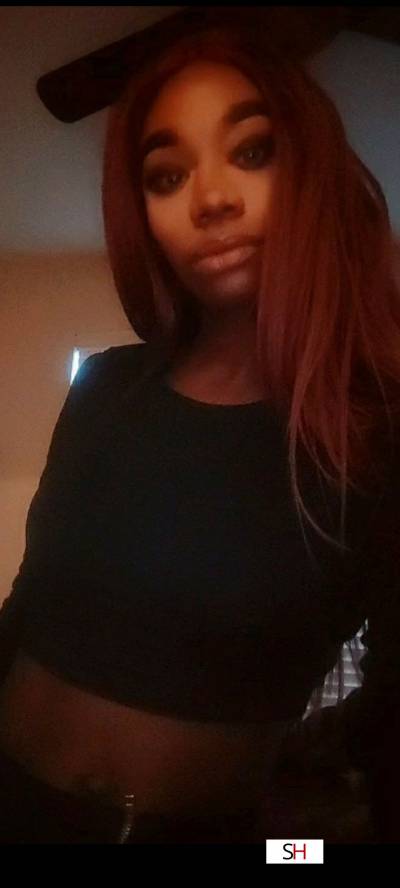 30Yrs Old Escort 159CM Tall Austin TX Image - 4