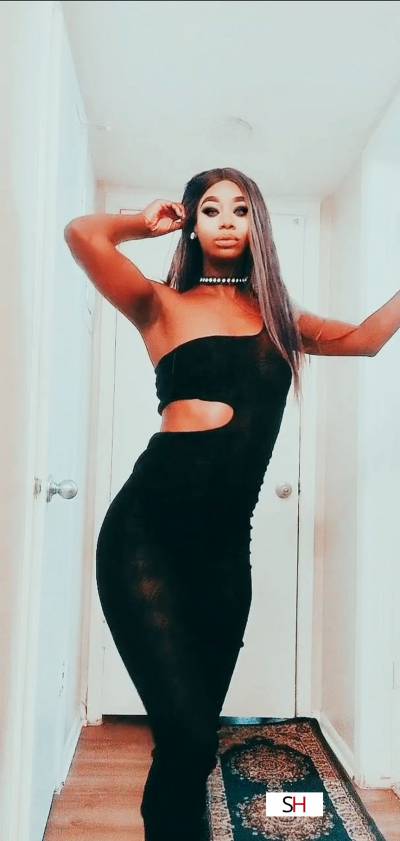 30 year old American Escort in Austin TX ChampagneBrown