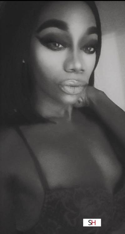 30Yrs Old Escort 159CM Tall Austin TX Image - 7