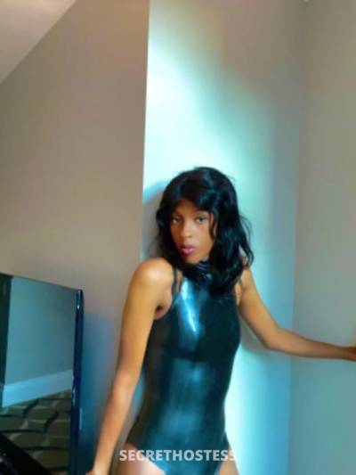 Cassandra 21Yrs Old Escort Size 8 56KG 179CM Tall Sydney Image - 1