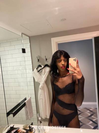 Cassandra 21Yrs Old Escort Size 8 56KG 179CM Tall Sydney Image - 4