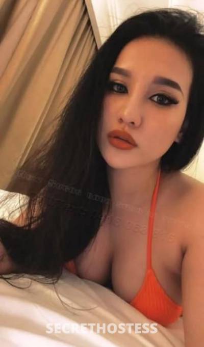 Sasha 23Yrs Old Escort Cairns Image - 0