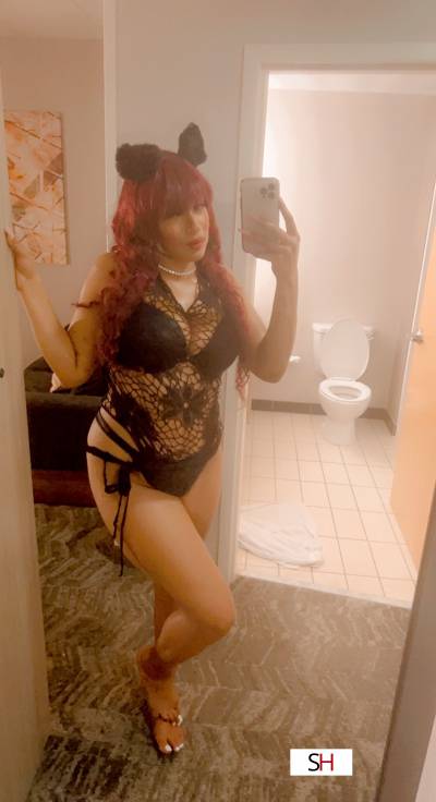 21Yrs Old Escort Size 12 174CM Tall Denver CO Image - 6