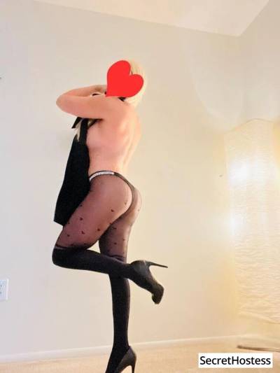 35 year old Brazilian Escort in Washington DC Brendita