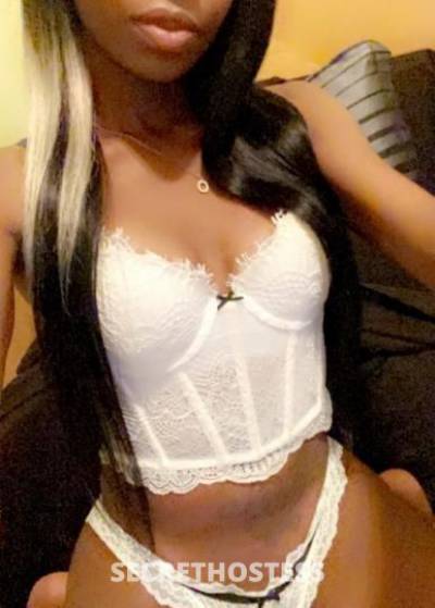 Lauren 23Yrs Old Escort Dallas TX Image - 2