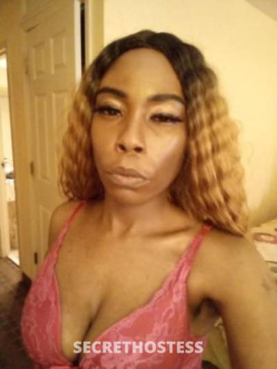 29 year old Escort in Memphis TN 4 11 supersoaker Ebony Asain mixed