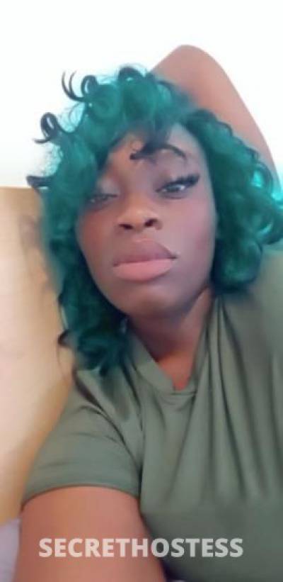 27 year old Escort in West Palm Beach FL chocolate city