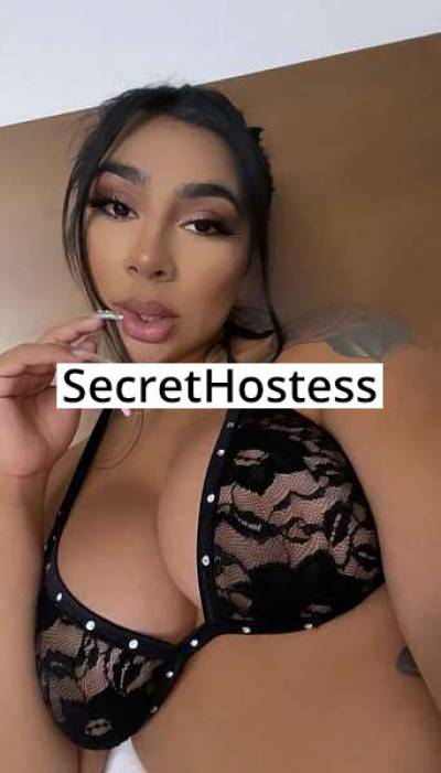 21 Year Old Latino Escort Los Angeles CA Brunette - Image 7