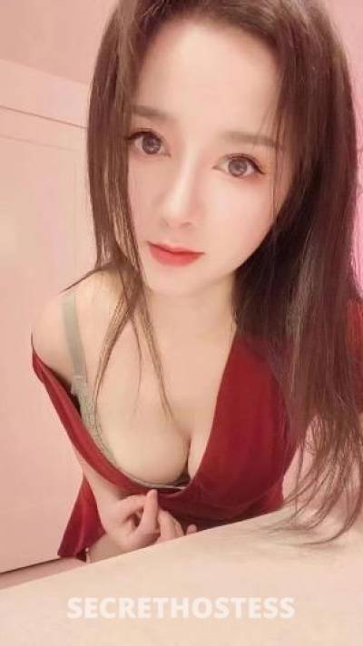 23 year old Asian Escort in Chicago IL Top 1 GFE Korean Clair