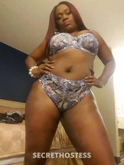 26Yrs Old Escort Central Michigan MI Image - 3