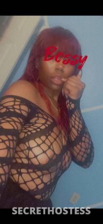 31Yrs Old Escort Baltimore MD Image - 2