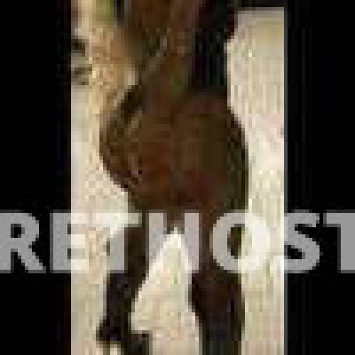 HoneyBee 27Yrs Old Escort Treasure Coast FL Image - 2