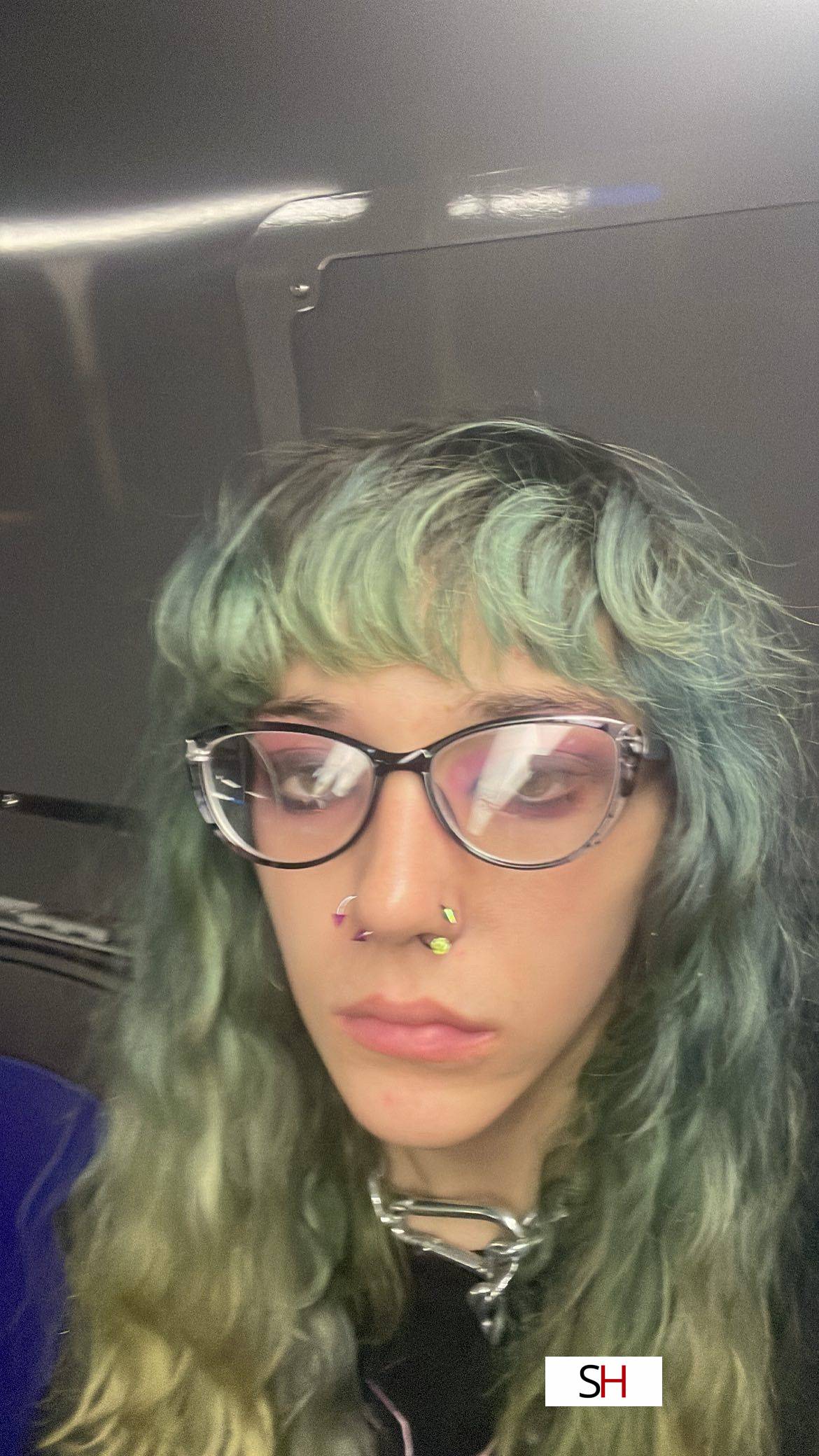 Spyro: Escort Baltimore MD - White Brunette - 18