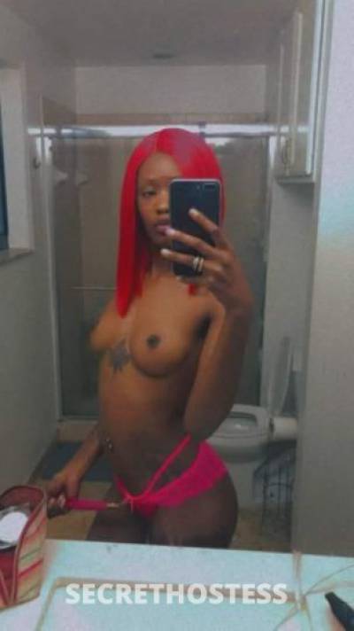 22Yrs Old Escort Orlando FL Image - 3