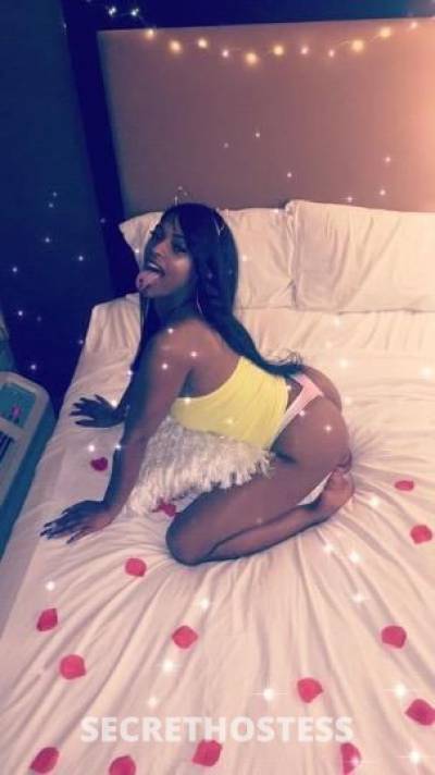 24Yrs Old Escort Denver CO Image - 2