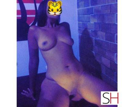 24 Year Old Mestizos Escort Campo Grande - Image 4