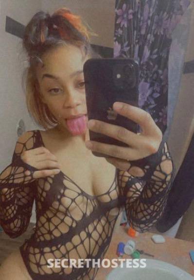 25Yrs Old Escort Sarasota FL Image - 2