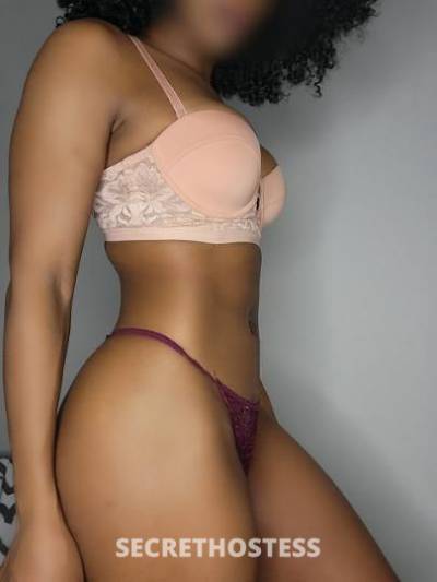 26Yrs Old Escort Fort Lauderdale FL Image - 3