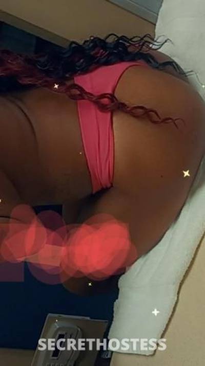 35Yrs Old Escort Fort Lauderdale FL Image - 0