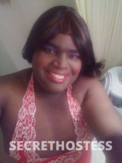 Catherine 39Yrs Old Escort Tampa FL Image - 2