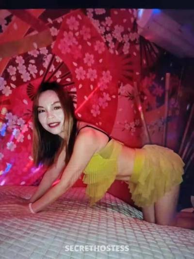 Cindy 25Yrs Old Escort Tamworth Image - 1