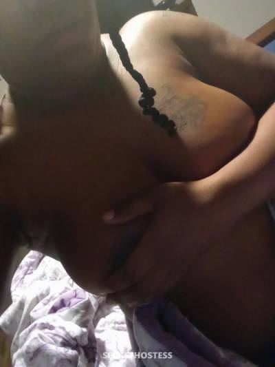 0 year old Escort in Charlotte NC Cinnamon