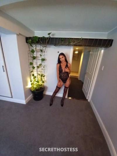 Lucy 22Yrs Old Escort Size 8 Brisbane Image - 1