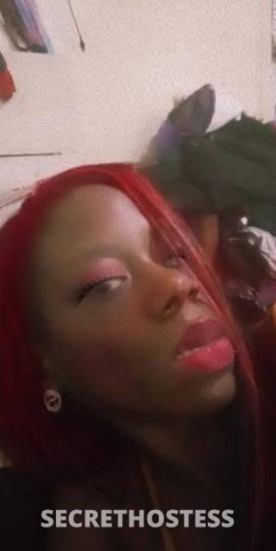 26 year old Escort in Memphis TN good pussy and good with sloppy head must be able to come to