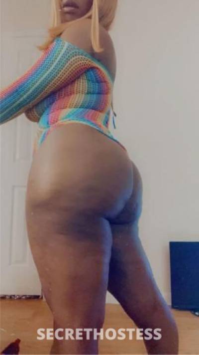 28Yrs Old Escort Austin TX Image - 0