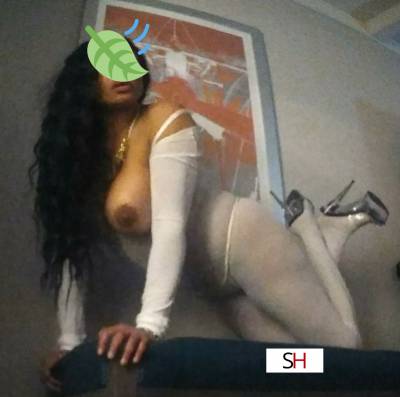 30Yrs Old Escort Size 8 163CM Tall Poughkeepsie NY Image - 1