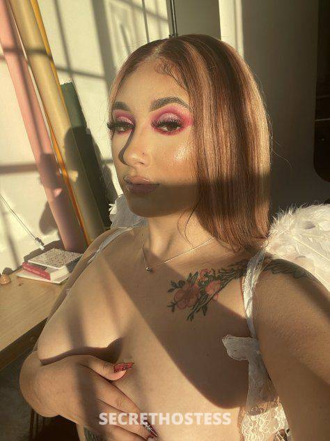 22Yrs Old Escort Fort Worth TX Image - 7