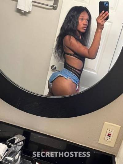 23Yrs Old Escort Oakland CA Image - 2