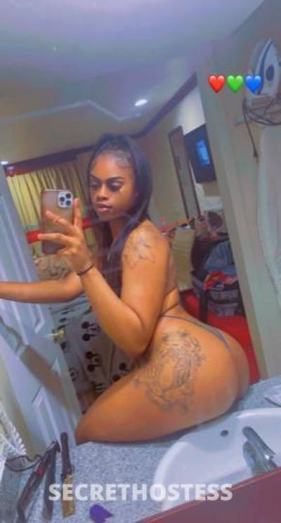 24Yrs Old Escort Bronx NY Image - 1