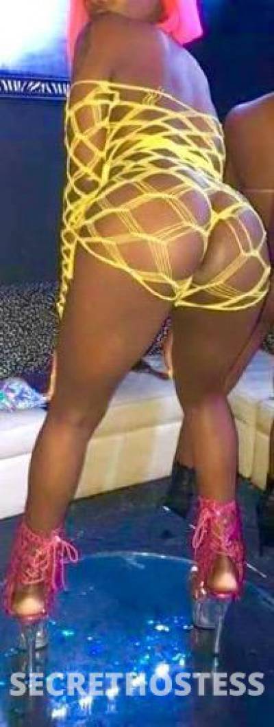 26Yrs Old Escort Bronx NY Image - 1