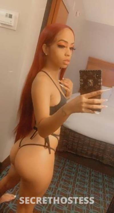 26Yrs Old Escort Syracuse NY Image - 0