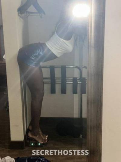 Blasian 20Yrs Old Escort North Jersey NJ Image - 0