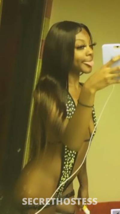 21Yrs Old Escort Los Angeles CA Image - 3