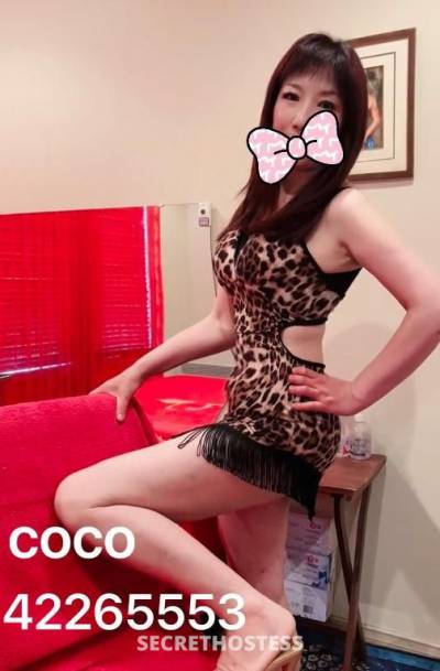 23Yrs Old Escort Wollongong Image - 7