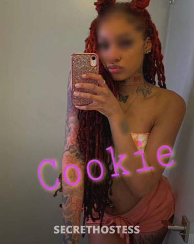 22Yrs Old Escort Raleigh NC Image - 0